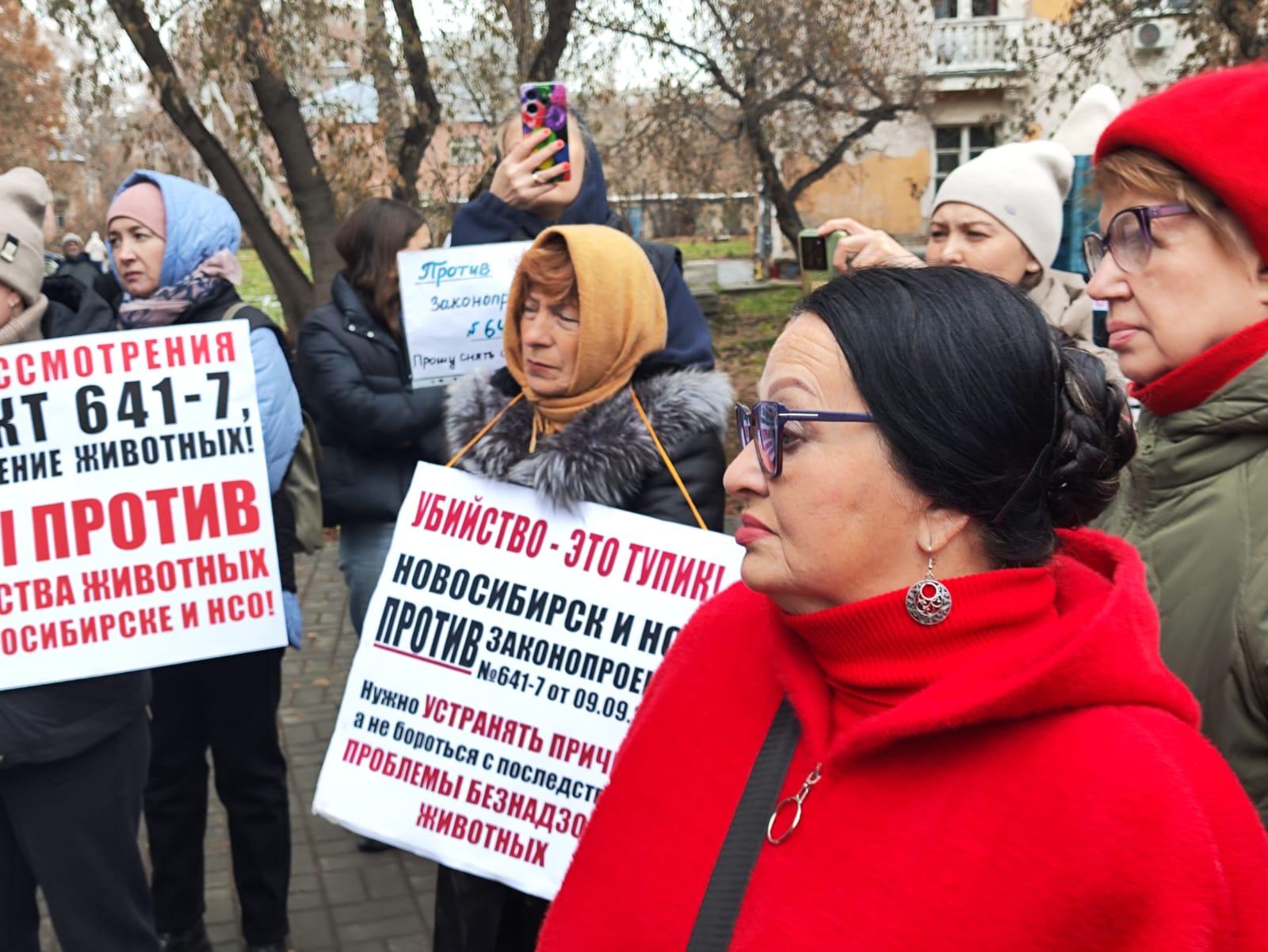 Фото В Новосибирске опубликованы кадры массового митинга против убийства домашних животных 3